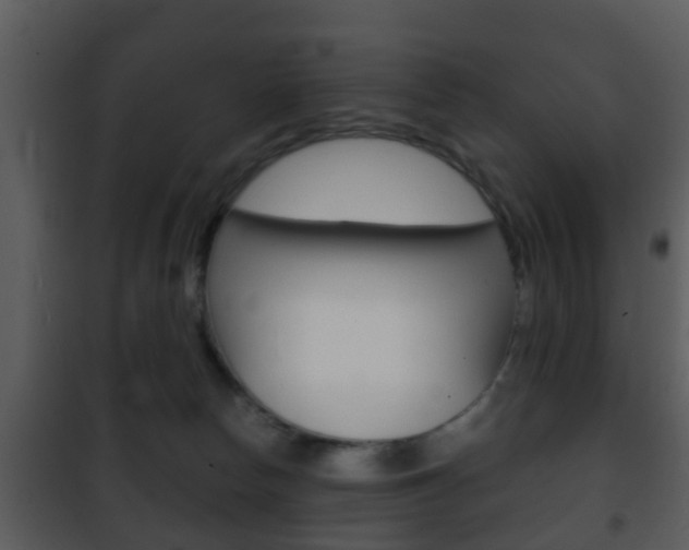 X0000101980178200807180809