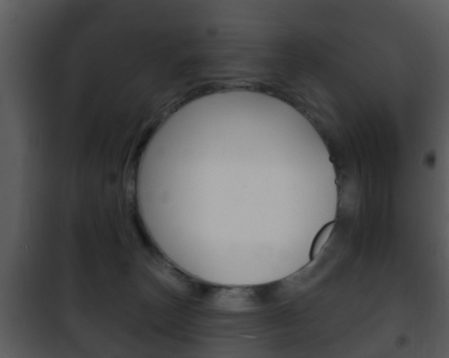 X0000101980179200807180809