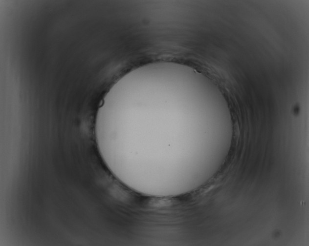 X0000101980181200807180809