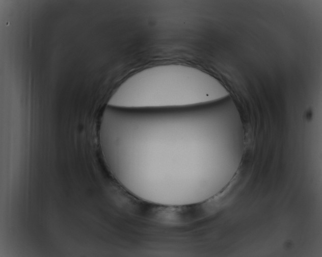 X0000101980182200807180809