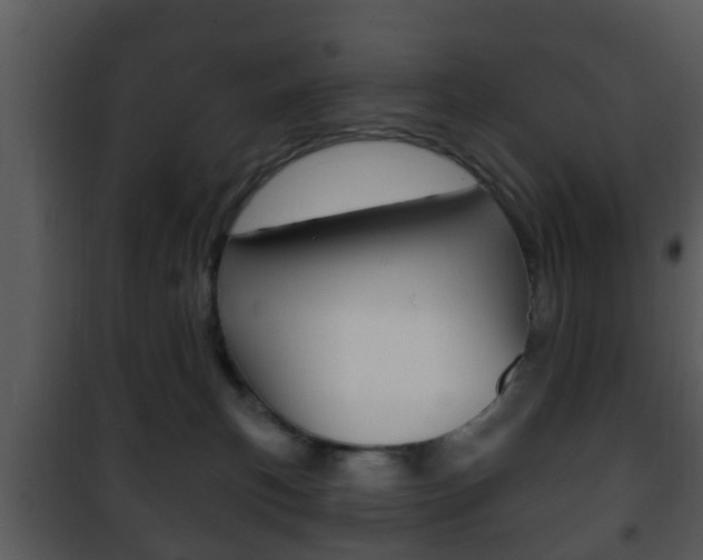 X0000101980183200807180809