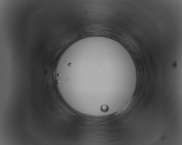 X0000101980184200807180809