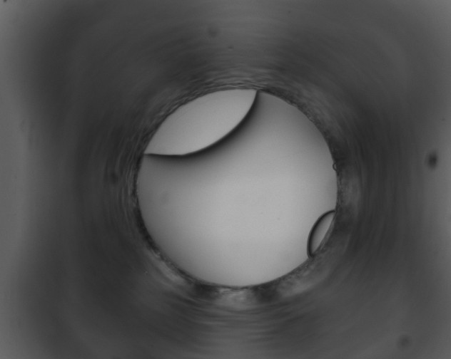 X0000101980185200807180809