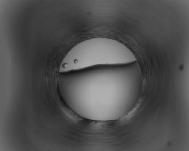 X0000101980186200807180809