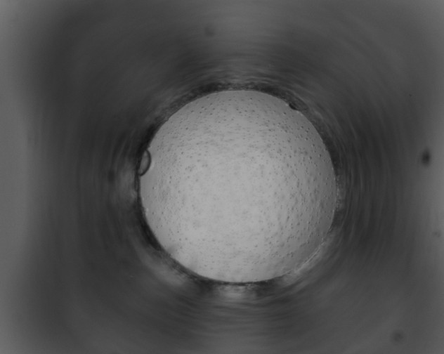 X0000101980187200807180809