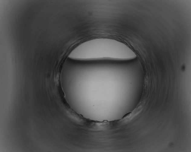 X0000101980188200807180809