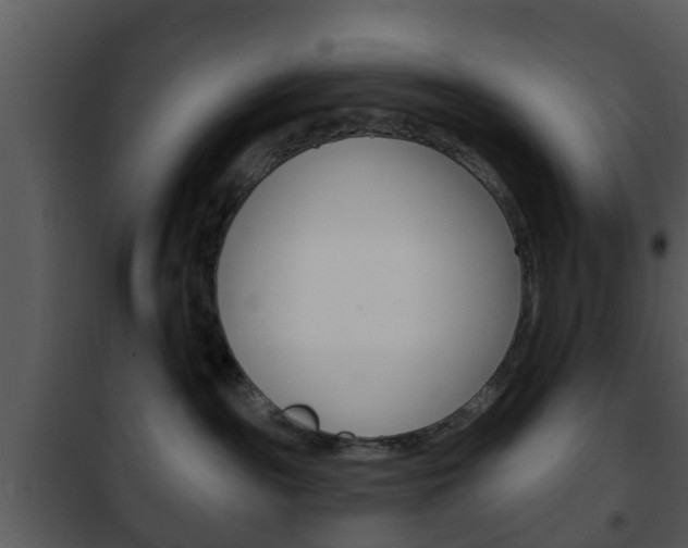 X0000101980189200807180809