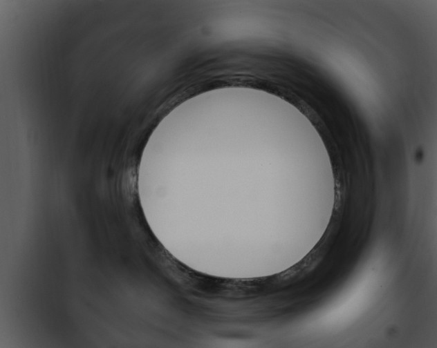 X0000101980190200807180809