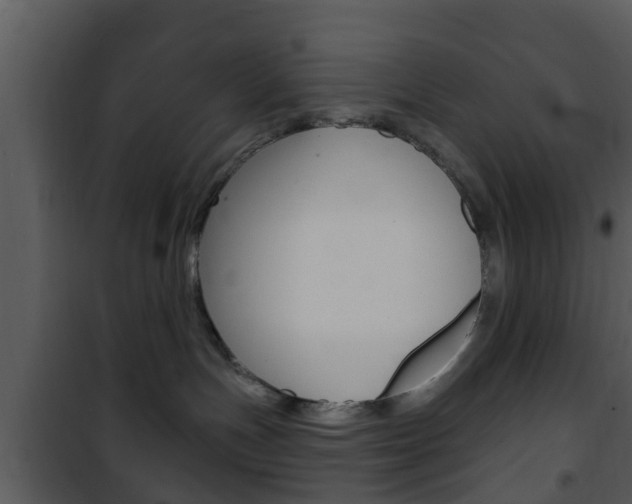 X0000101980191200807180809