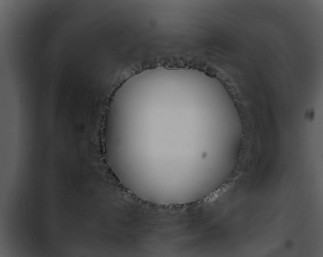 X0000101980192200807180809