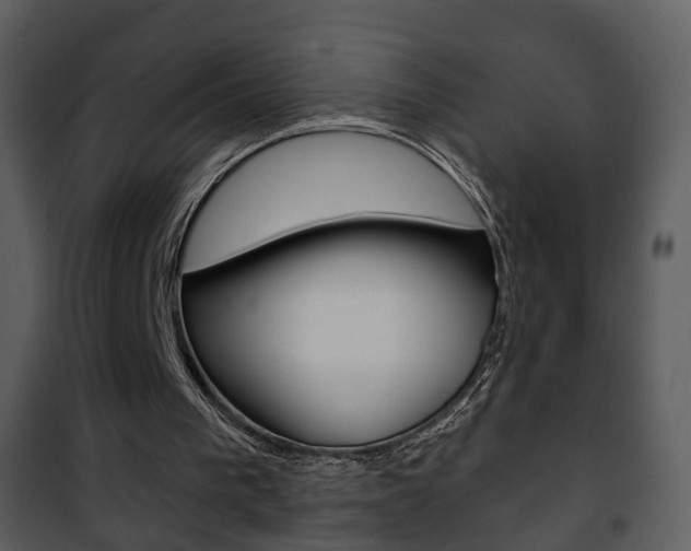 X0000101980193200807180809