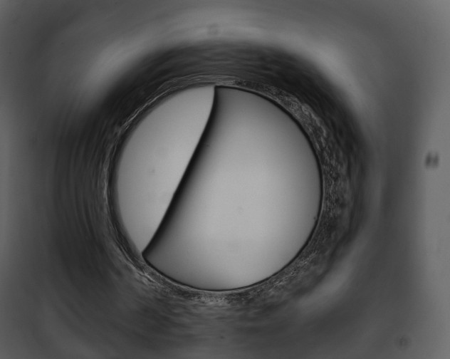 X0000101980194200807180809