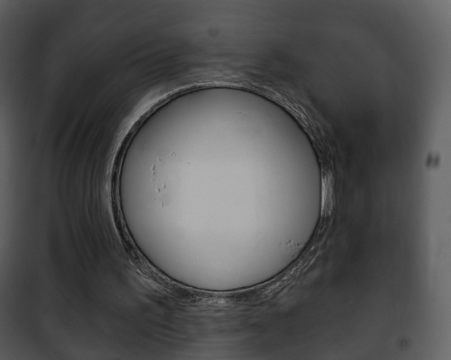 X0000101980195200807180809