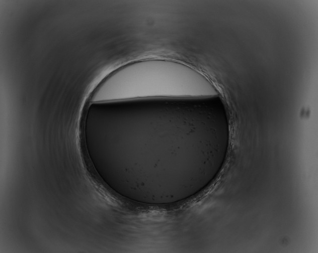 X0000101980196200807180809