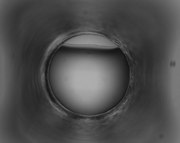 X0000101980197200807180809