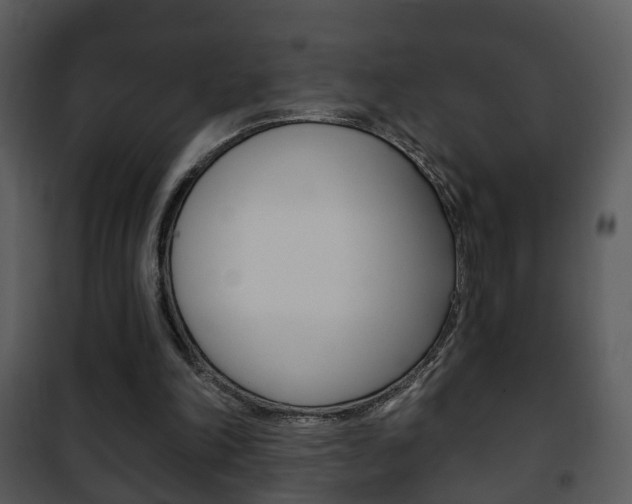 X0000101980198200807180809