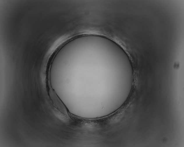 X0000101980199200807180809