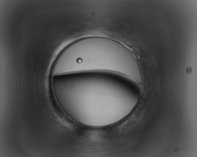 X0000101980200200807180809