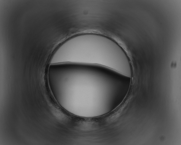 X0000101980201200807180809