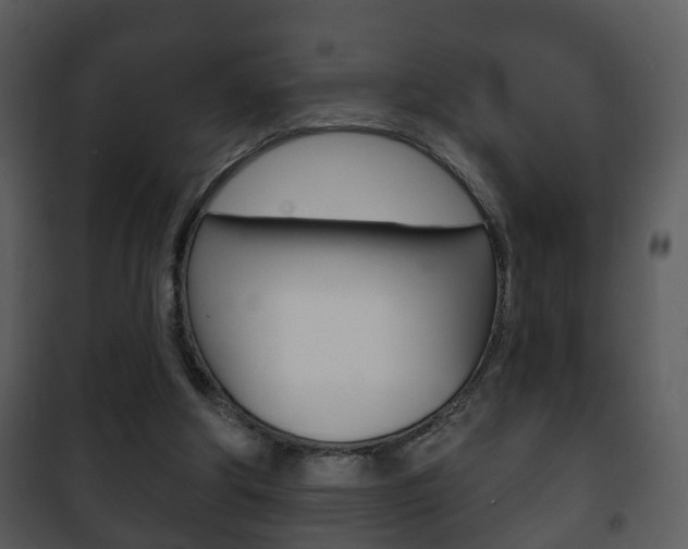 X0000101980202200807180808