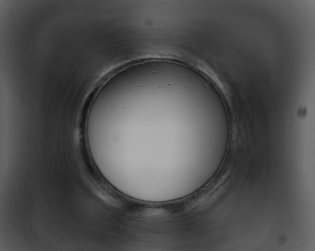 X0000101980203200807180808