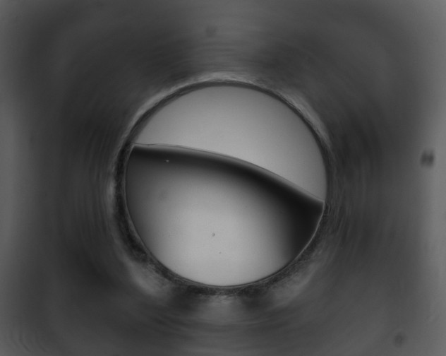 X0000101980204200807180808