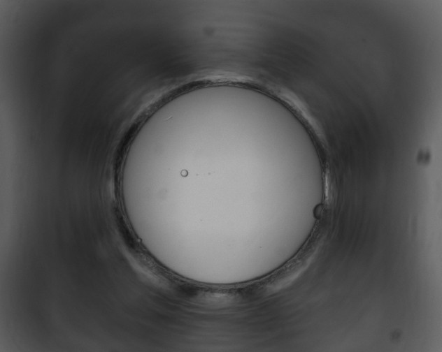 X0000101980205200807180808