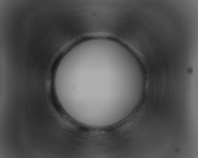 X0000101980206200807180808