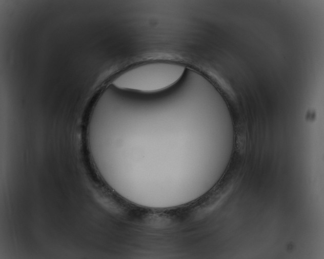 X0000101980207200807180808