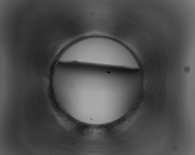 X0000101980208200807180808