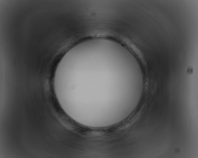 X0000101980209200807180808