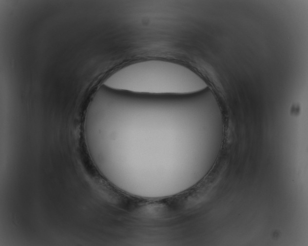 X0000101980210200807180808