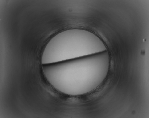 X0000101980211200807180808