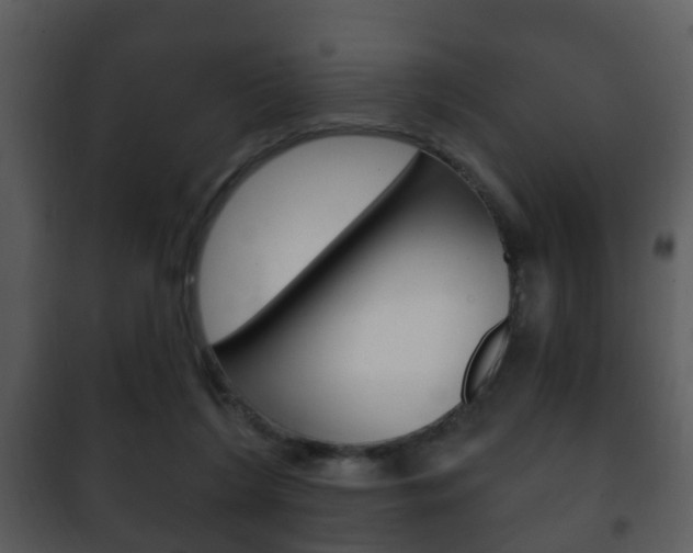 X0000101980212200807180808