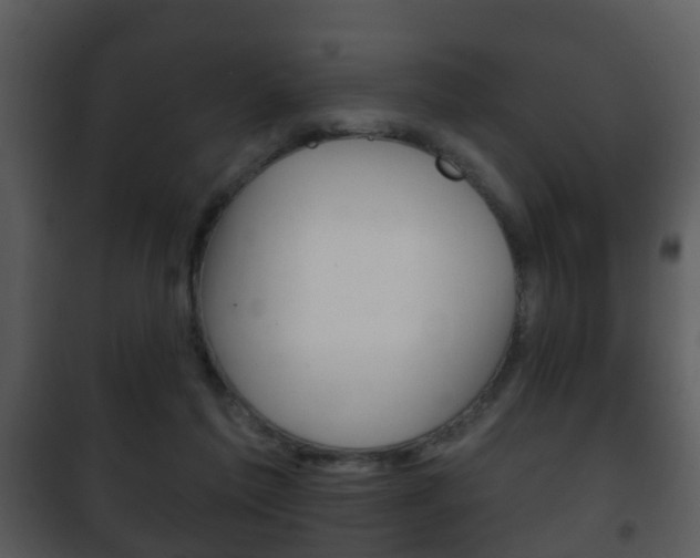 X0000101980213200807180808