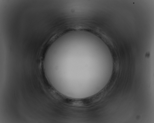 X0000101980214200807180808