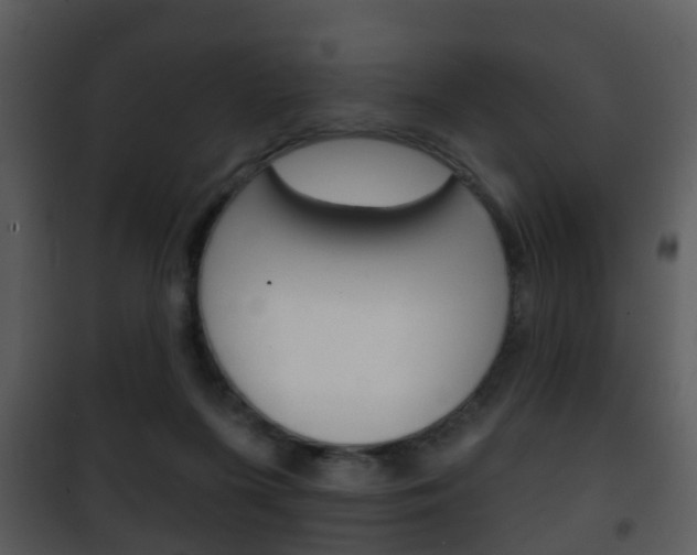 X0000101980215200807180808