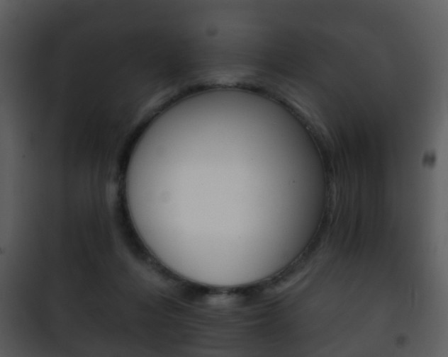 X0000101980216200807180808