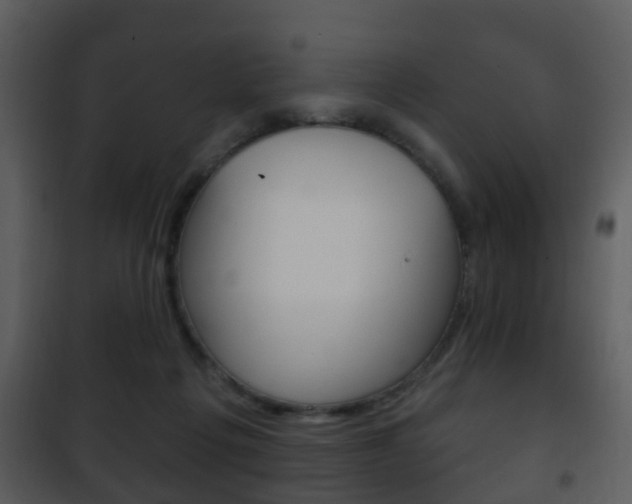 X0000101980217200807180808