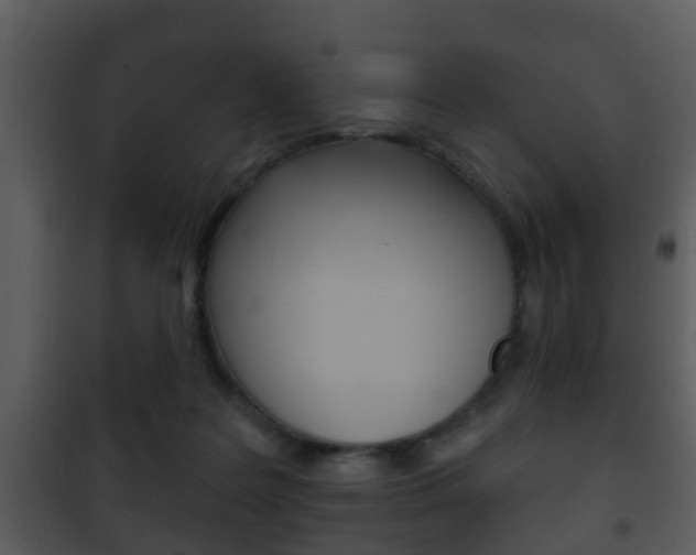 X0000101980219200807180808