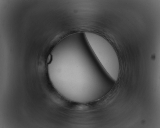 X0000101980220200807180808