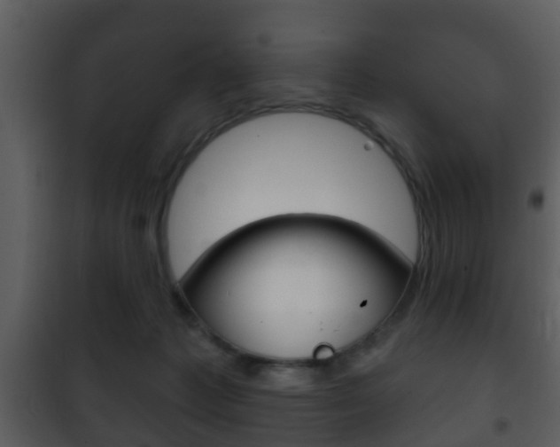 X0000101980221200807180808