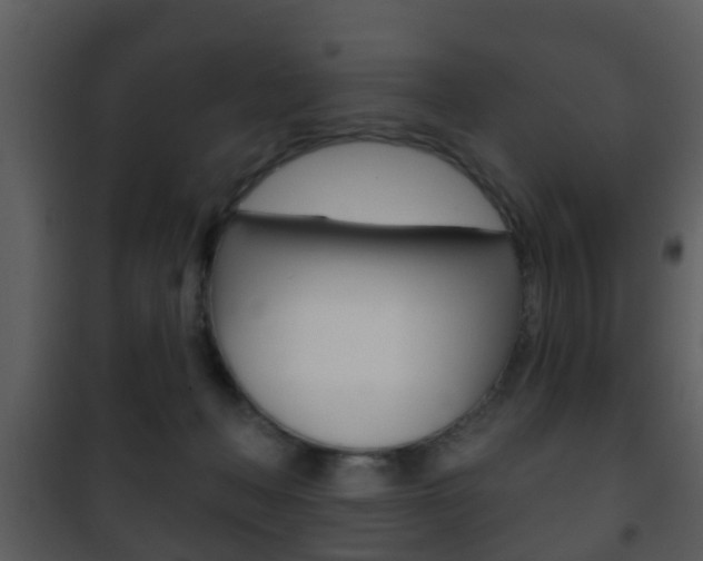 X0000101980222200807180808