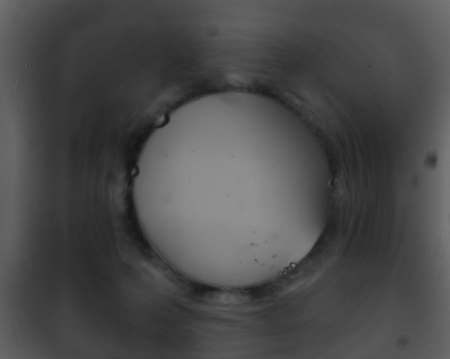 X0000101980223200807180808