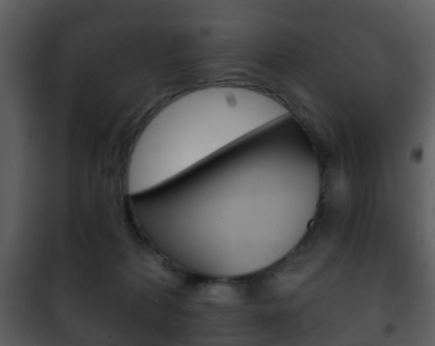 X0000101980224200807180808