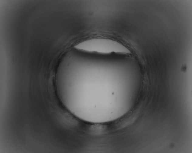 X0000101980225200807180808