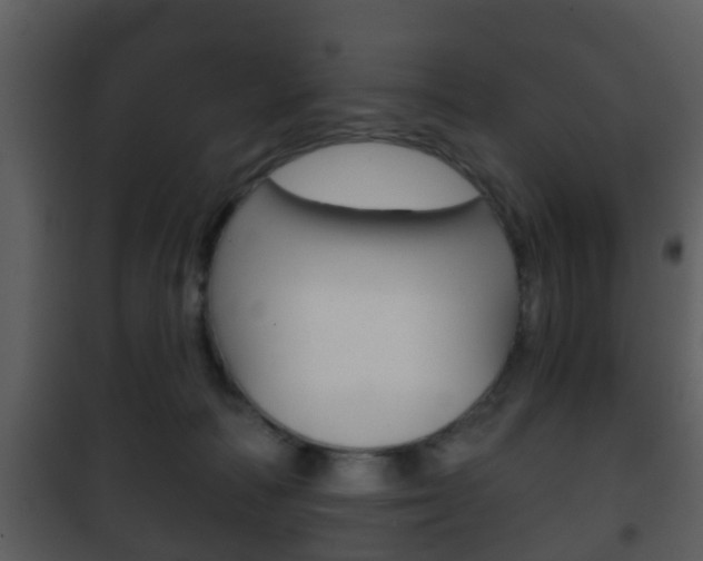 X0000101980226200807180808