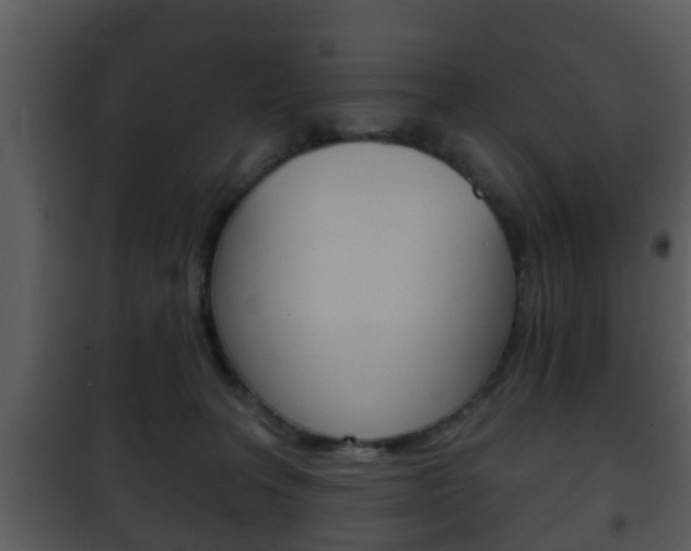 X0000101980227200807180808