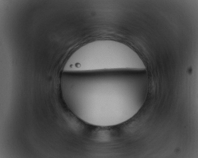 X0000101980228200807180808