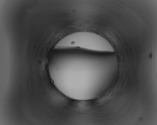 X0000101980229200807180808